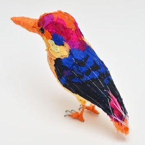 Image of ORIENTAL DWARF KINGFISHER