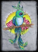 Image of Pretty Bird