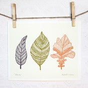 Image of Leaves Print 8 x 10