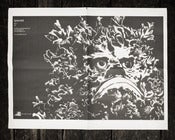 Image of Splendid Vol 1