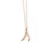 Image of 14k gold small double branch on 18” fine cable chain (P0614k18)