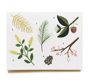 Image of Carte "Herbier"
