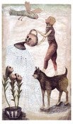 Image of Illustration "les fleurs arrosées" Treasure