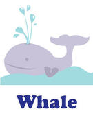 Image of whale