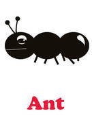 Image of ant