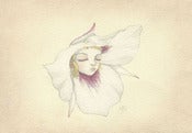 Image of Sego Lily mini print