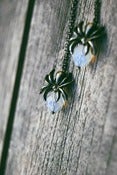 Image of Milk Widows - Customizable