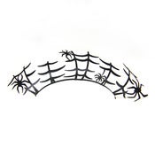 Image of Spider