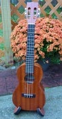Image of Mainland Mahogany Slothead Concert