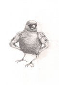 Image of Jail Bird