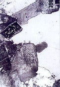 Image of The Highdrops GB-004