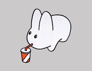Image of A Labbit