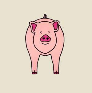 Image of A Pig
