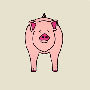 Image of A Pig