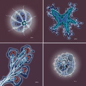 Image of Beachy Beachy Beach… Indigo Edition - Series of Four