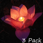 Image of 3 Floating/Garden Flower Paper Lanterns