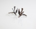 Image of Little Bird Ring 