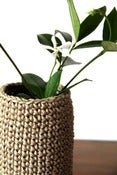 Image of Covered Vase -Jute