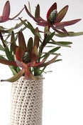 Image of Covered Vase - Cotton