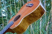 Image of Ohana Redwood/Myrtle Soprano