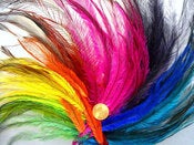 Air Feather Extensions — Home :  jewelryaccessories vegan feathers starter kitsdeals postage upgrades