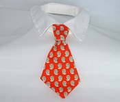 Image of Holiday Paisley Necktie on UncommonPaws.com
