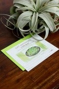 Image of $75 Gift Certificate