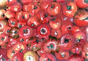 Image of Tomatoes Print