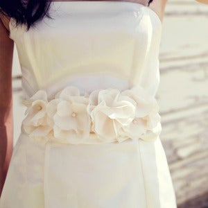 Image of Blushing Sash