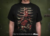 Image of Limited Edition Rotting Torso T-Shirt