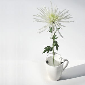 Image of POCKET VASE