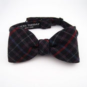 Image of Navy Red Checked 