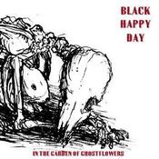Image of Black Happy Day "In the Garden of Ghostflowers" CD