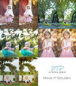 Image of DTP Make It Golden