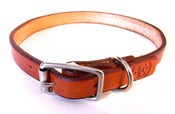 Image of Medium Dog Collar - 5/8"