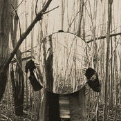 Image of O - The Sea of Trees tape
