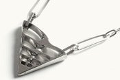 Image of Vertebrado