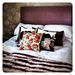 Rose Tattoo funky cushion