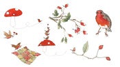 Image of robins & rosehips | CARD SET