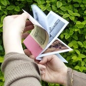 Image of Zine - My dear, don't worry my deer