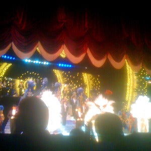 Image of To See Showgirls
