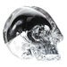 Image of Mirrored Skull