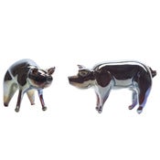 Image of The Golden Pig