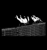 Image of Birds On A Fence T-Shirt
