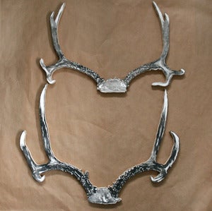 Image of Boyd's (set of 2) Mule Deer Antlers - PRINT