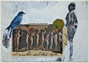 Image of Blue Bird