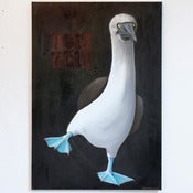 Image of BIRDIE NUM NUM