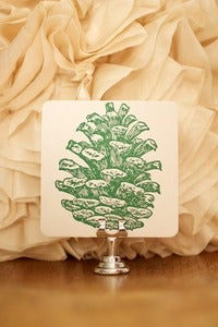 Image of Coasters: Pine Cone