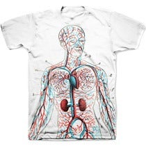 Image of BASIC ANATOMY shirt
