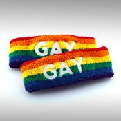 The Gay